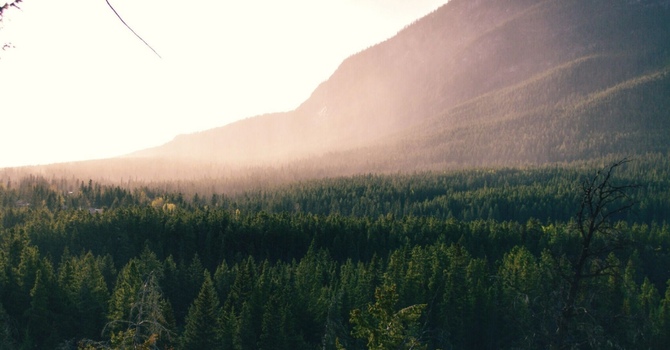 Why That Nagging Pain Isn’t Going Away — And What You Can Do About It image